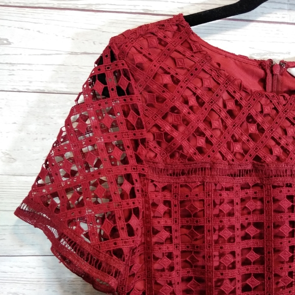 Cupcakes and Cashmere red lace dress - Picture 4 of 7